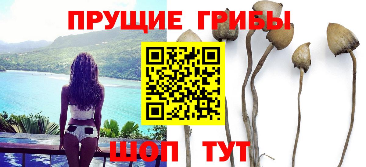 Галлюциногенные грибы мухоморы Ангарск